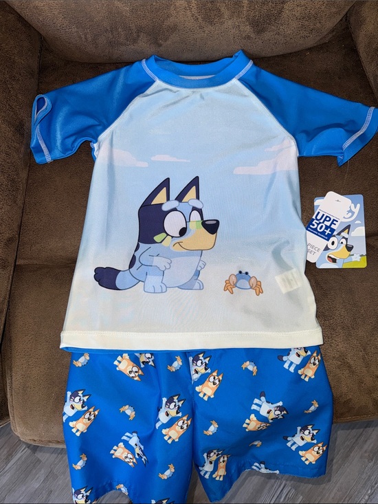 Other - Bluey Bingo Kids swim shorts and Rash Guard swim  Set